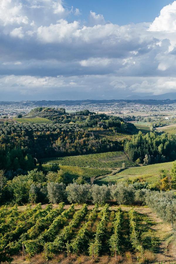 Agriturismo Bellavista San Miniato Dış mekan fotoğraf