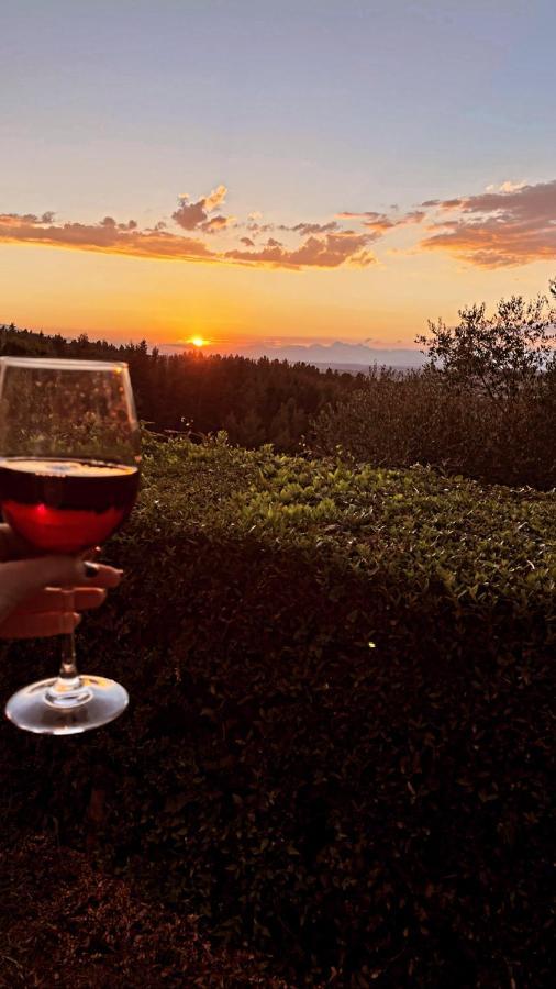 Agriturismo Bellavista San Miniato Dış mekan fotoğraf